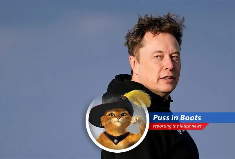 A denial from Tesla about the rumors of Elon Musk's replacement has this swashbuckling feline sharpening his claws and sharing his two cents (or should I say, two *pesos*) on the electric car chaos.