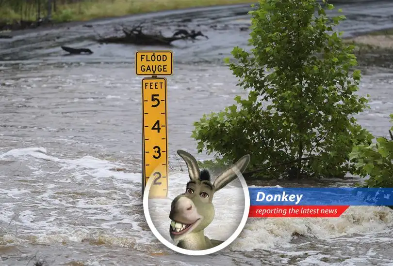 A disastrous flood in Texas Hill Country leaves a trail of devastation, missing children, and questions about preparedness. It's like a swamp, but with more water and less ogre!