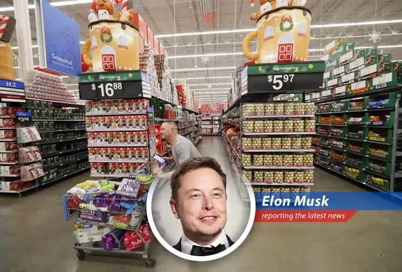 A humorous and satirical take on the latest consumer spending trends, featuring insights from various CEOs and a healthy dose of Elon Musk's unique perspective.