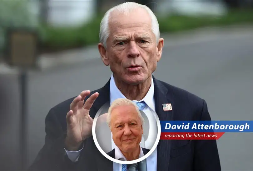 A look at a White House advisor's optimistic, albeit unusual, take on a recent GDP decline, as if seen through the eyes of a nature documentary narrator.