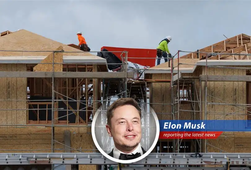 A look at the volatile lumber market, its impact on housing affordability, and potential solutions that might involve flamethrowers.