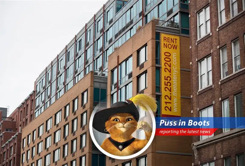 A purr-plexing report on why renters are clinging to their apartments like I cling to my boots, and what it means for landlords and the housing market. Prepare for twists and turns, amigos!
