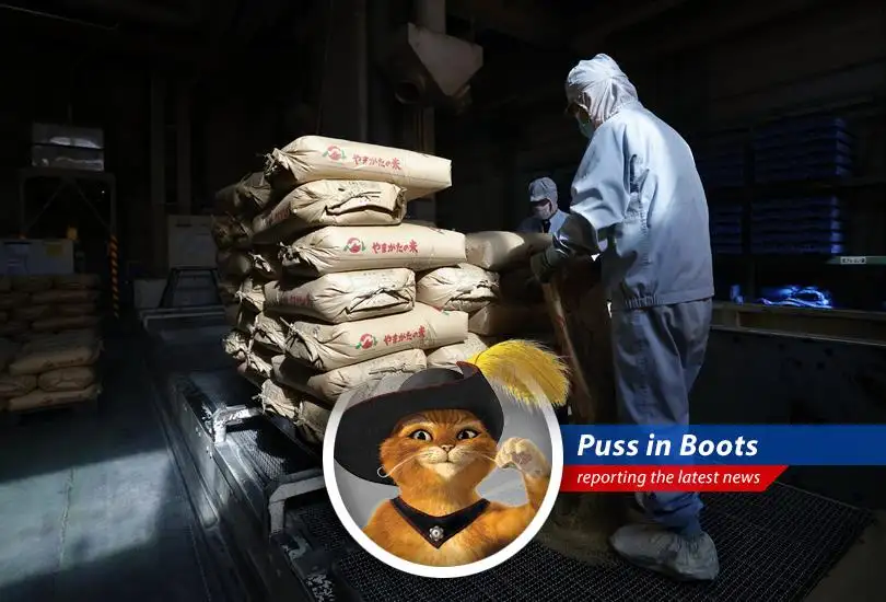 A swashbuckling report on Japan's soaring rice prices, inflation woes, and the government's daring attempts to tame the fiery dragon of economic upheaval.