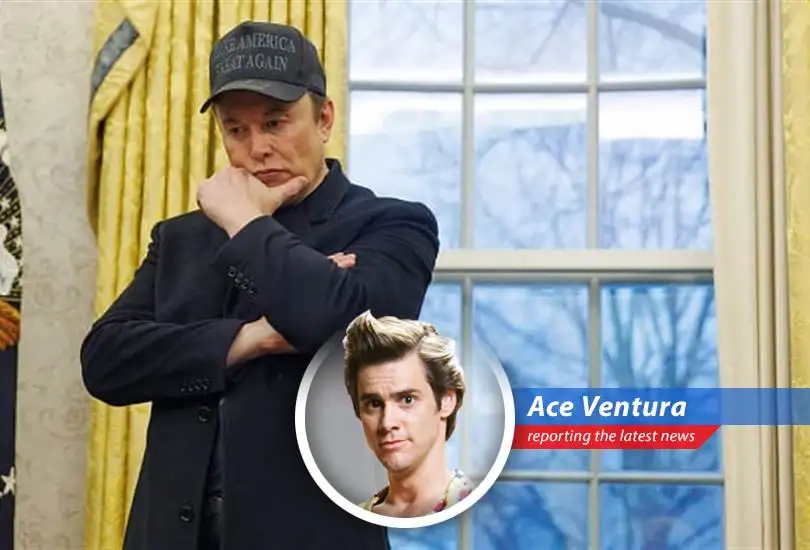 Ace Ventura investigates Elon Musk's decreasing involvement in Trump's Department of Government Efficiency amidst Tesla's financial woes and accusations of conflicting interests.