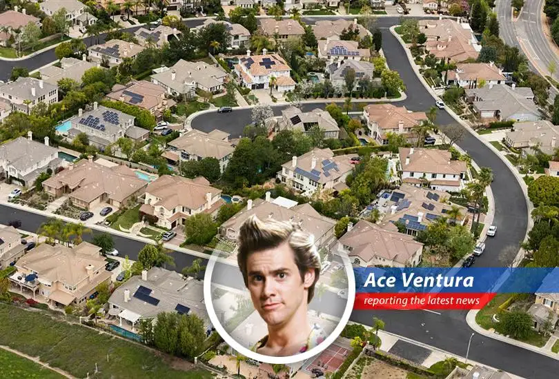 Ace Ventura investigates the mystery of the missing affordable homes, finding a market more unbalanced than a tutu-wearing rhino!