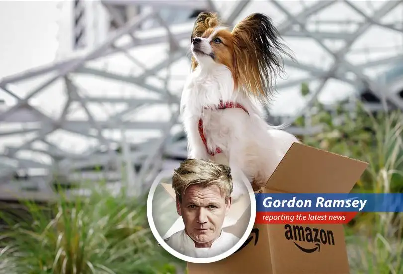 Amazon partners with Vetsource to deliver pet prescriptions online, challenging Chewy and Walmart in the booming pet medication market.