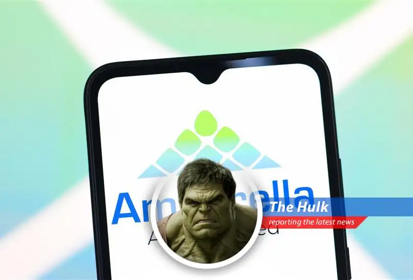 Ambarella, tiny chip company, maybe get bought! Hulk analyze, then maybe smash!