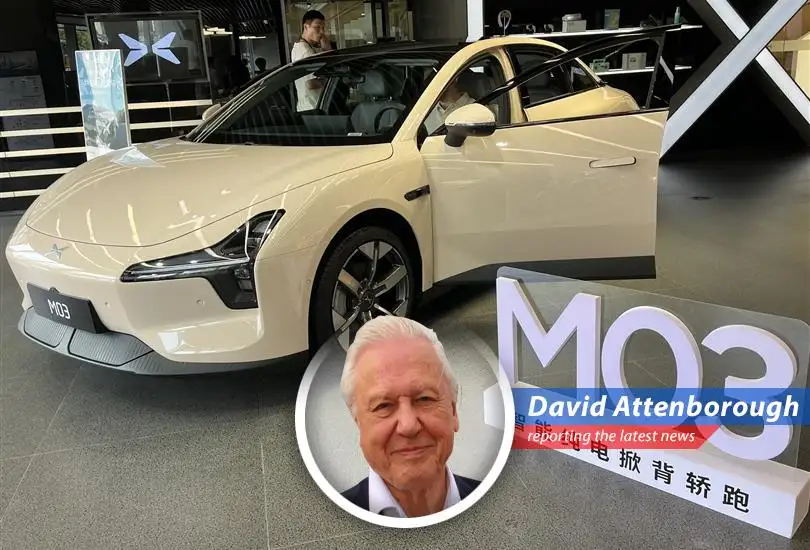 Amidst fierce price wars and government scrutiny, Xpeng shows resilience while BYD dominates, and Tesla feels the pressure in China's dynamic electric vehicle market.