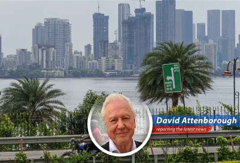 Amidst global volatility and shifting trade winds, investors are increasingly turning their gaze towards emerging markets, seeking value and opportunity in the 'Global South'.