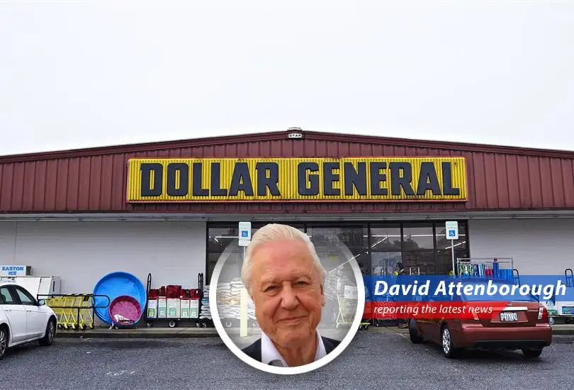 Amidst tariff turmoil and economic uncertainty, Dollar General emerges as a surprisingly resilient species, thriving under the shadow of giants like Walmart.