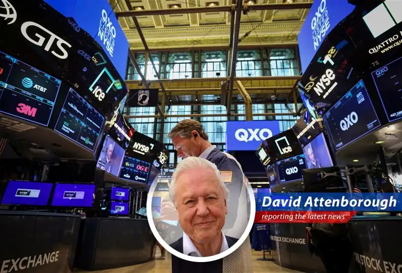 An expedition into the recent performance of the S&P 500 reveals surprising resilience, cybersecurity kings, coffee calamities, and pharmaceutical pitfalls.