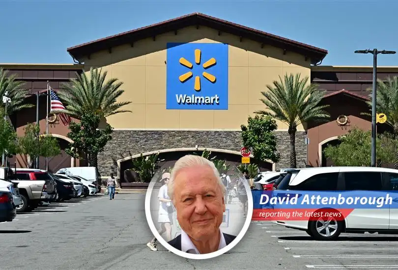 An exploration into Walmart's resilience amidst economic uncertainties, tariff fluctuations, and its strategic maneuvers to maintain its reign in the retail kingdom.