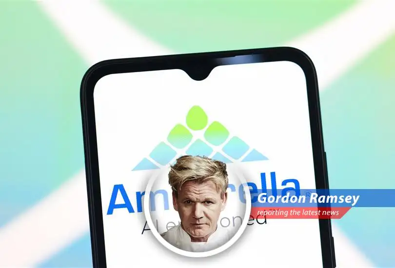 Chip designer Ambarella's stock jumps as whispers of a potential sale to semiconductor companies and private equity firms send investors into a frenzy. Will it be a Michelin-star acquisition or a culinary disaster?