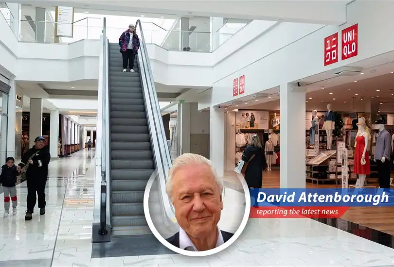 Consumer confidence plummets to a five-year low, sparking recession fears amid tariff anxieties and dwindling job prospects.