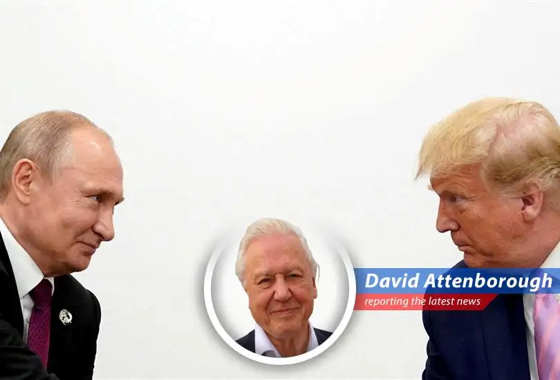 Dan Quayle expresses his bewilderment at Donald Trump's approach to Russia and the Ukraine conflict, questioning the lack of leverage and the potential consequences for U.S. foreign policy.