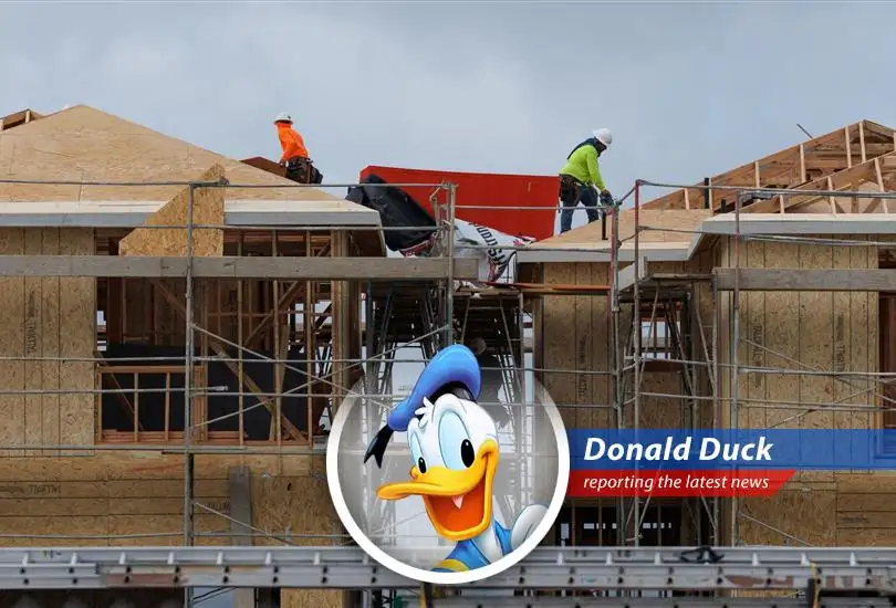 Donald Duck reports on the soaring lumber prices that are making life tough for builders and home buyers. Quack!