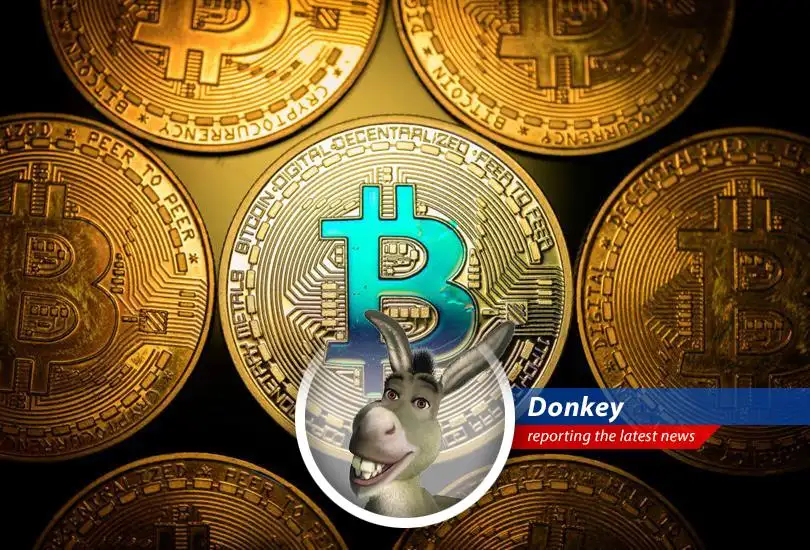 Donkey breaks down Bitcoin's record-breaking surge, complete with macro cauldrons, stablecoins, and maybe even a dragon's hoard!