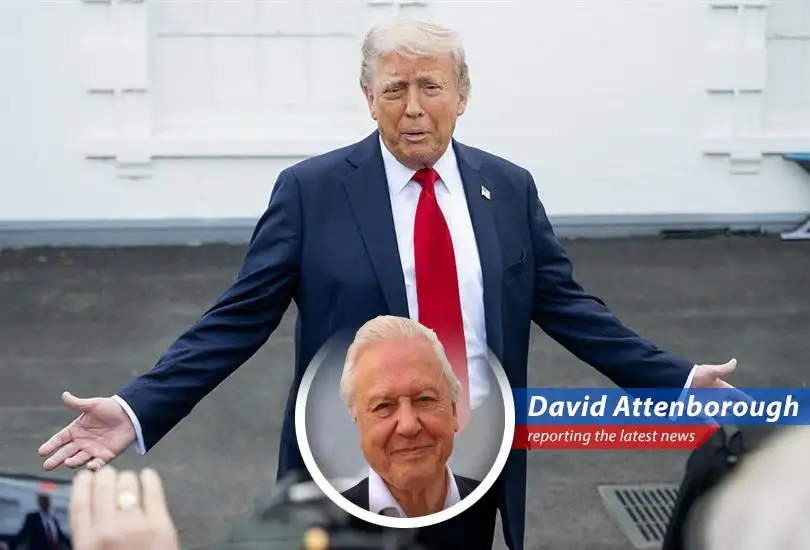 Following a period of market volatility, a shift in President Trump's stance on China tariffs and Federal Reserve policy has sparked a rally, bringing relief to investors.