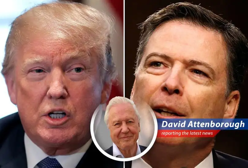 Former President Trump interprets ex-FBI Director Comey's beachside Instagram post featuring the numbers '8647' as a veiled threat, sparking controversy and debate over free speech.