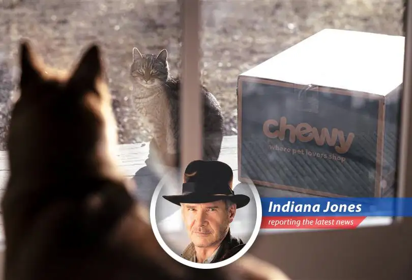 From nuclear reactors to robotaxis, Indiana Jones deciphers the day's stock market swings with a whip-smart perspective.