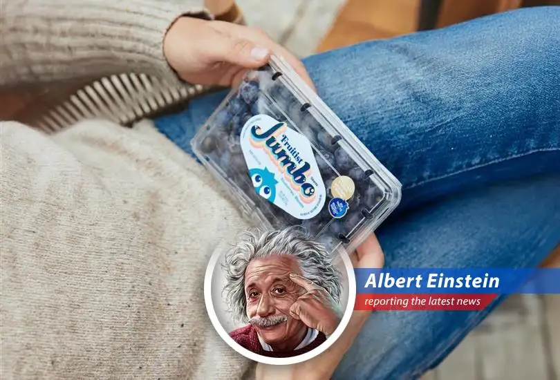 Fruitist, formerly Agrovision, surpasses $400 million in sales with its long-lasting jumbo blueberries, considering an IPO amidst trade tensions and healthy snacking trends.