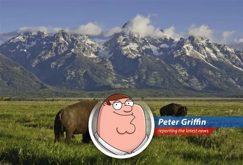 Hey Lois, this Juneteenth, the government's giving away free trips to National Parks! Let's pack the car, grab some Pawtucket Patriot Ale, and maybe skip Meg...