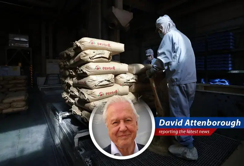 Japan grapples with a staggering surge in rice prices, impacting inflation and household spending amidst a backdrop of economic uncertainty.
