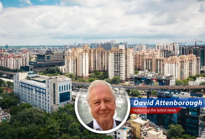 Market analyst Gary Shilling suggests that India's growing population and service-based economy make it an attractive investment opportunity amidst U.S.-China trade tensions.