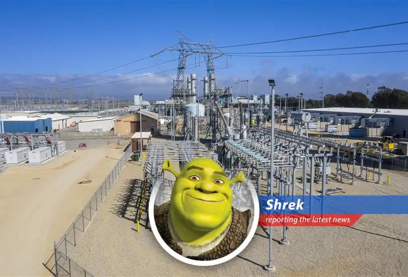 Ogre-sized volatility got you down? Shrek's here with swamp-tested wisdom and stock tips that'll make you say, 'That'll do, Donkey. That'll do.'