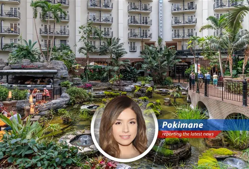 Pokimane breaks down Bank of America's analysis of small-cap dividend stocks, offering her signature blend of humor, savvy, and maybe a little too much honesty.