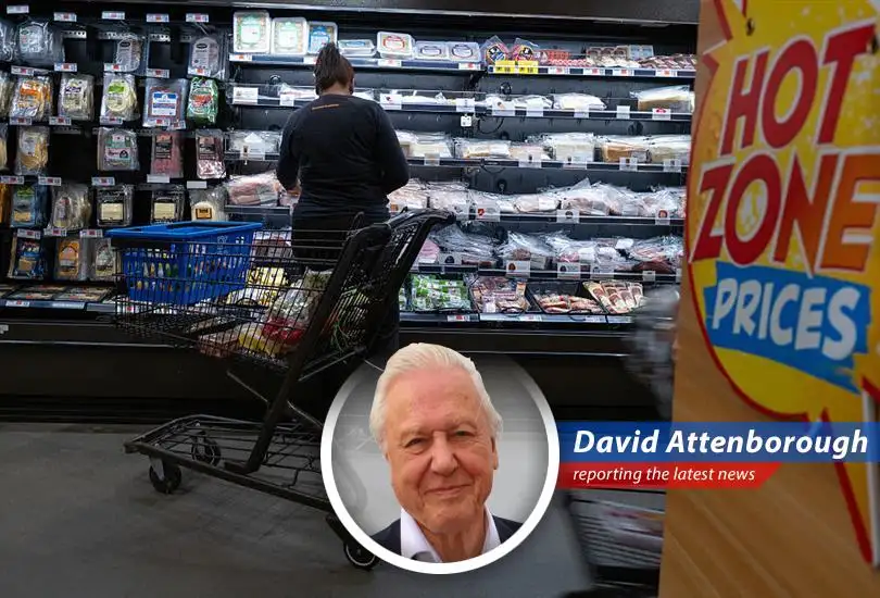 Proposed SNAP cuts threaten food security for millions of vulnerable Americans, raising concerns about increased poverty and economic instability.