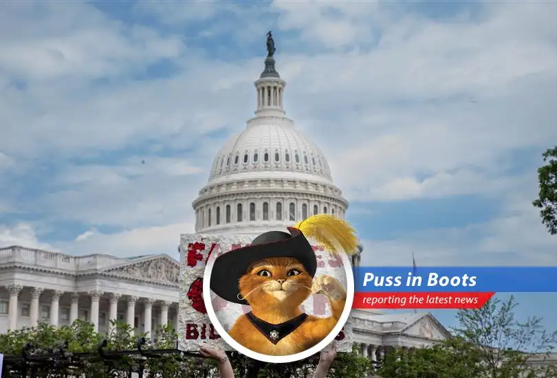 Puss in Boots investigates the House reconciliation bill and its potential impact on families, revealing tax credit changes, food assistance cuts, and health coverage risks.