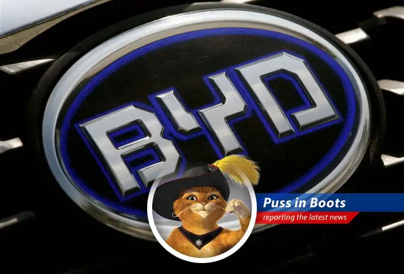 Puss in Boots investigates the recent drop in BYD's shares following price cuts and wonders if a price war is brewing in the Chinese electric vehicle market. Ay, caramba!