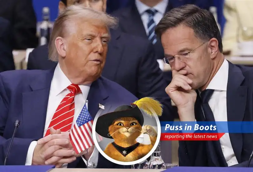 Puss in Boots reports on the NATO summit where defense spending soared, but the real fireworks were between Trump and Rutte, leaving everyone wondering 'What in the world?!'