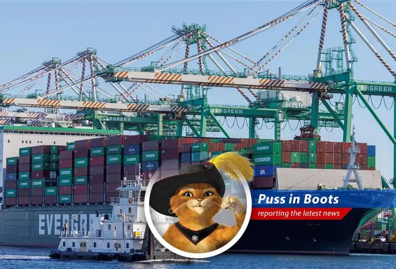 Puss in Boots reports on the looming trade war between the US and China, predicting empty shelves and a shortage of stylish blue shirts for discerning felines.