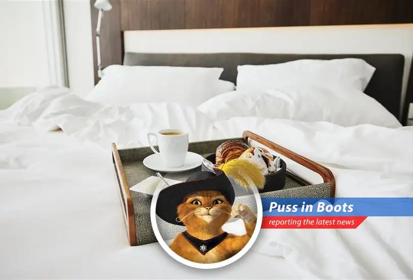 Puss in Boots reports on the vanishing act of hotel minibars, replaced by modern magic like delivery apps and lobby treasures!