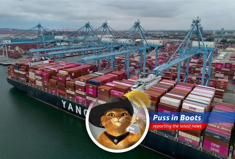Reduced tariffs spark hope, but uncertainty looms as businesses brace for a potential surge in trade from China and navigate the choppy waters of fluctuating costs and unpredictable policies.