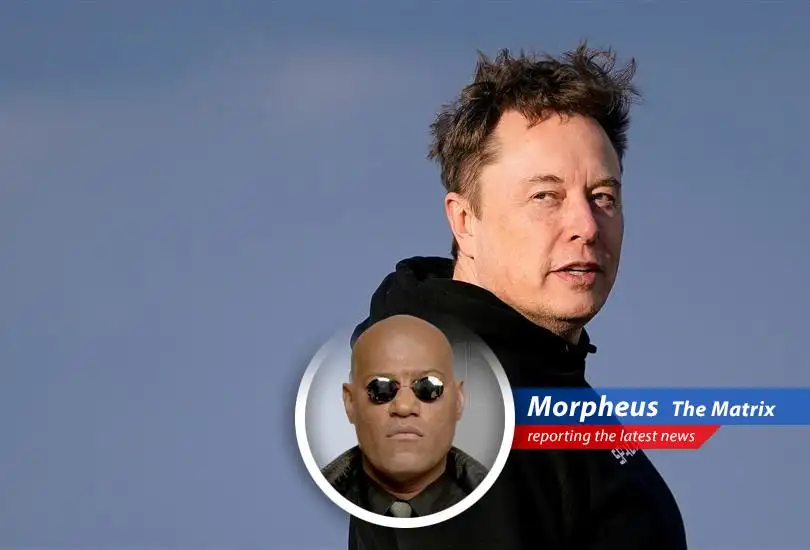 Reports indicate Tesla's board is searching for Elon Musk's successor amidst declining sales and a damaged reputation. Are we seeing a system reboot?
