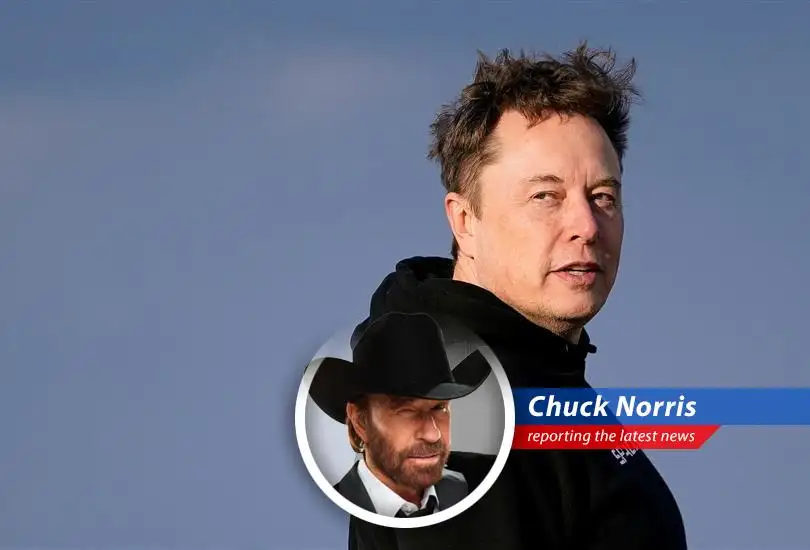 Reports suggest Tesla is seeking a successor to Elon Musk after sales and profits plummet, proving even electric cars can't outrun Chuck Norris.
