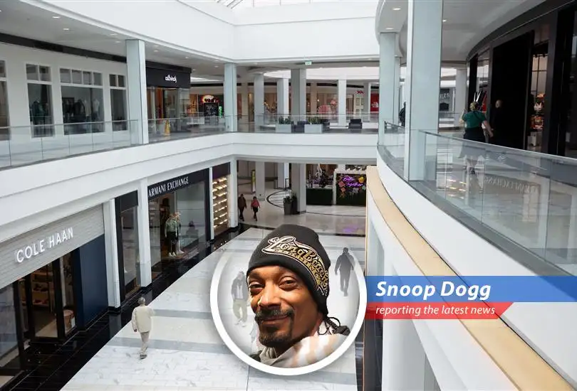 Snoop Dogg breaks down the latest news on consumer spending surge ahead of Trump's tariffs, with a little bit of Gin and Juice wisdom.