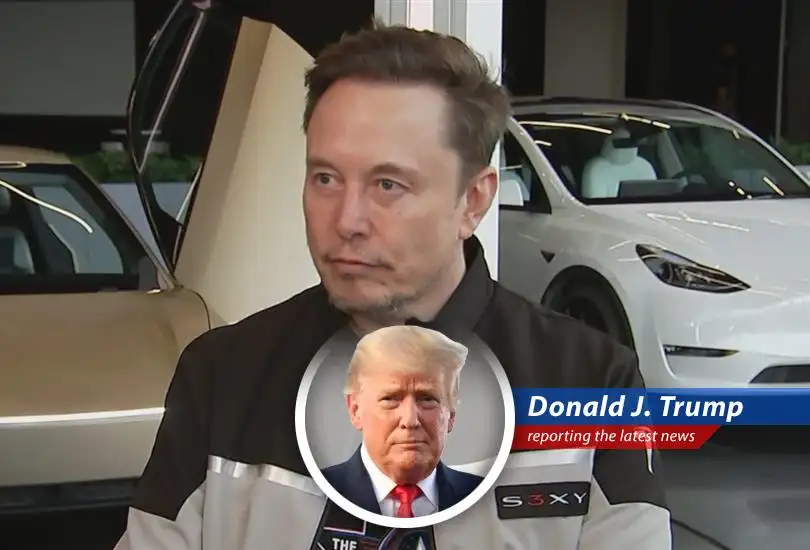 Tesla's European sales are down, and frankly, it's a disaster. Everyone's saying it, and they're right. It's time for a deal!