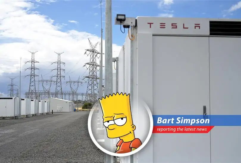 Tesla's first grid-scale battery plant in China aims to balance power supply and demand, even with those wacky solar and wind thingies.