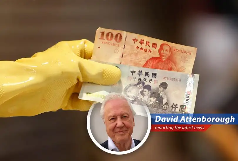The Taiwanese dollar's recent rollercoaster ride sparks debate over trade, intervention, and the echoes of Plaza Accord.