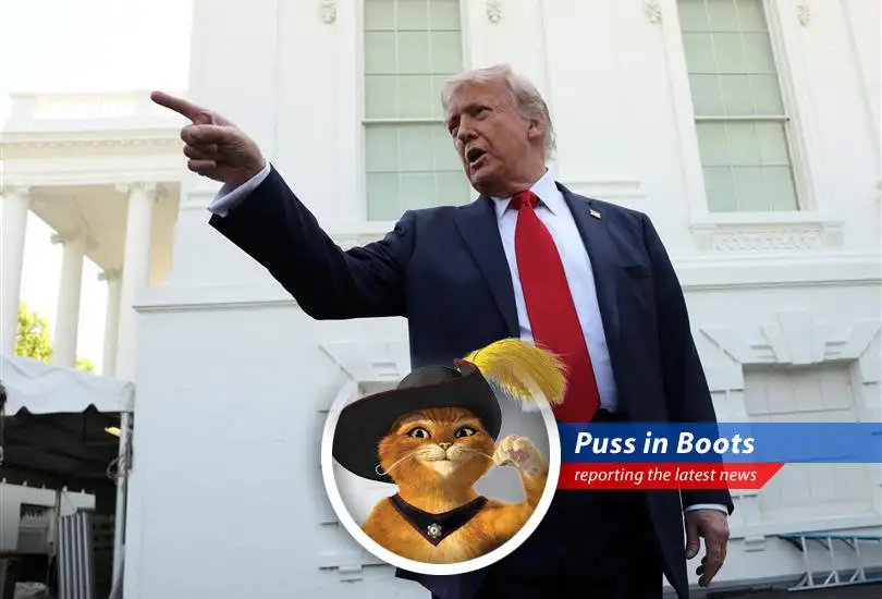 The former president voices disapproval of Russian strikes following his claims of a potential peace deal, leaving this gato in boots thoroughly perplexed.