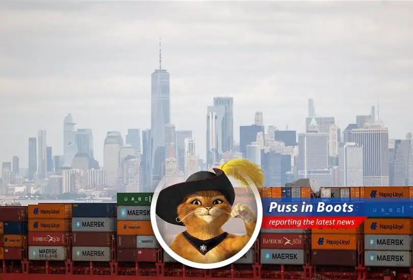 The tale of how tariffs and trade wars are turning the dreams of dropshippers into a cat-tastrophe, and whether there's still a whisker of hope left.