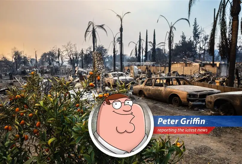 Turns out those California wildfires cost European insurance companies a boatload of clams, way more than anyone expected. Looks like I'm not the only one who makes bad financial decisions!