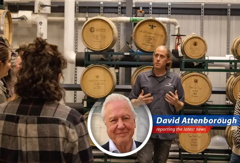 Vermont small businesses are feeling the pinch from President Trump's tariffs on Canadian goods, impacting everything from spirits to tourism, and raising concerns about the future of cross-border trade.