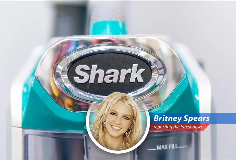 Wall Street is doing a little dance as SharkNinja nails its Q1 earnings and plans a full move out of China, leaving competitors saying, 'Gimme More!'