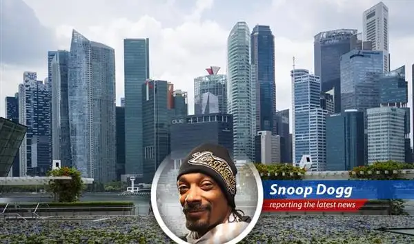 Singapore slaps major fines on banks and financial institutions for their role in a massive money laundering scheme. Doggfather weighs in on the drama, fo shizzle! image