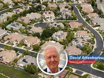 A deep dive into the current housing market crisis, exploring the widening gap between income and affordable housing supply across the United States. image